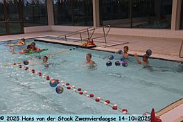 Zwemvierdaagse Dag 2