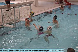 Zwemvierdaagse Dag 3
