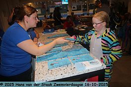 Zwemvierdaagse Dag 4 en 5